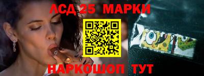индика Кулебаки