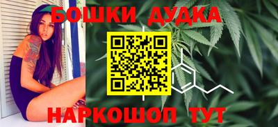 индика Кулебаки
