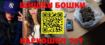 индика Кулебаки