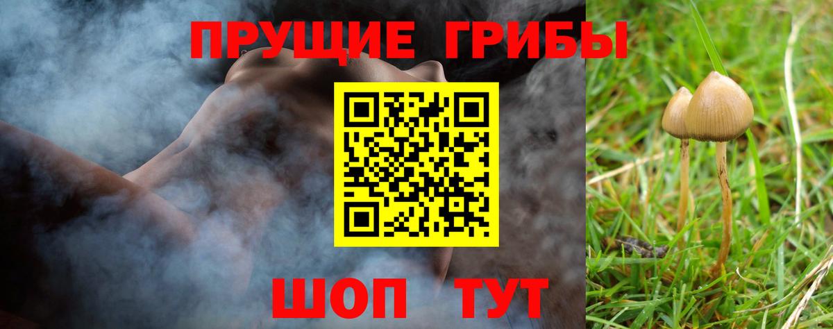 Вольск  Галлюциногенные грибы ЛСД  Вход с VPN 